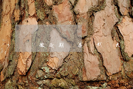 輕微逾期對房貸影響大嗎(小額逾期影響房貸嗎)
