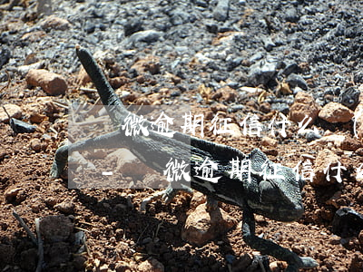 輕微逾期征信什么時(shí)候可以消除-輕微逾期征信什么時(shí)候可以消除記錄