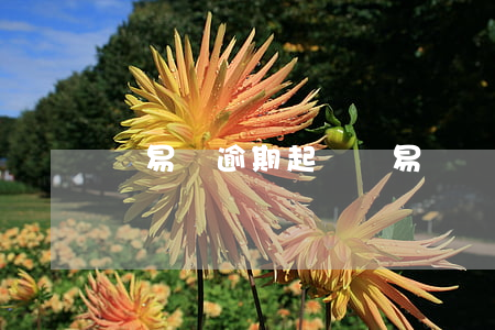 輕易貸逾期起訴(輕易貸開庭)