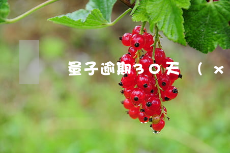 輕量子逾期30天協(xié)商還款
