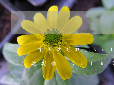 輕量子逾期能協(xié)商還款嗎(輕量子逾期能協(xié)商還款嗎)