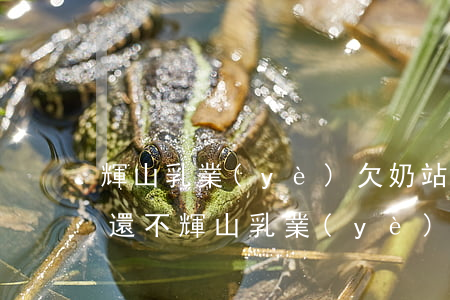 輝山乳業(yè)欠奶站的錢(qián)還不(輝山乳業(yè)賣(mài)給誰(shuí)了)