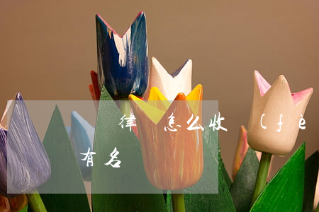 輝縣律師怎么收費(fèi)的(輝縣律師誰有名氣)