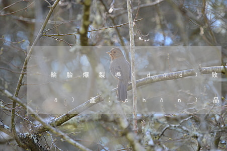 輪胎爆裂導(dǎo)致車翻人亡 引發(fā)產(chǎn)品質(zhì)量損害賠償