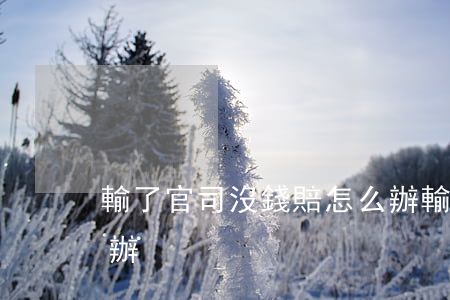 輸了官司沒錢賠怎么辦(輸了官司沒錢賠怎么辦)