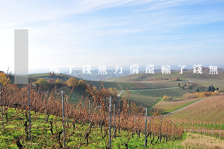 輸了錢無力償還 輸了錢無力償還怎么處理