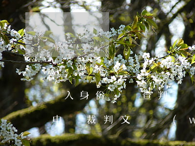輸入身份證號查判決書(輸入身份證號查案件中國裁判文書網(wǎng))