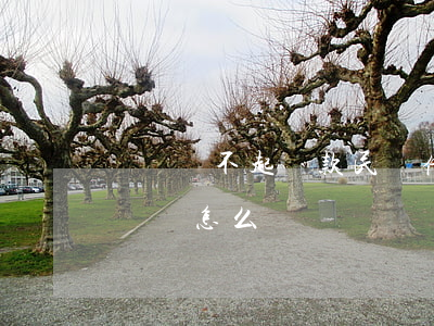 輸錢還不起貸款(民間借貸輸了,沒(méi)錢還怎么辦)