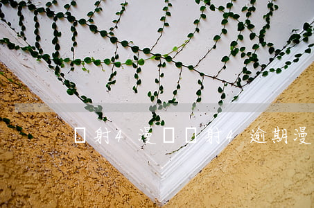 輻射4 漫畫（輻射4逾期漫畫）