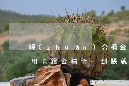 轉(zhuǎn)公積金信用卡欠的多 欠信用卡錢公積金一到賬就被扣了