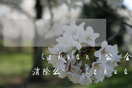 轉(zhuǎn)公積金后原商貸逾期可以消除么-轉(zhuǎn)公積金后原商貸逾期可以消除么嗎