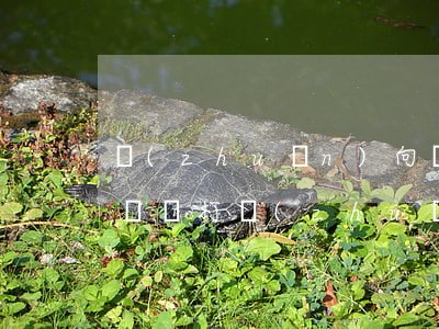 轉(zhuǎn)向燈打晚了扣幾分罰多少錢(沒打轉(zhuǎn)向燈扣幾分罰款多少)