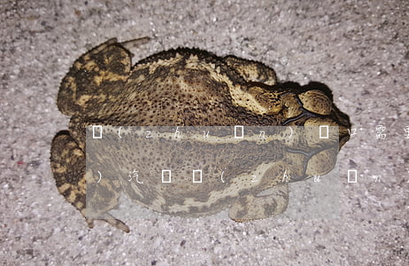 轉(zhuǎn)戶口需要哪些手續(xù)(汽車轉(zhuǎn)戶口需要哪些手續(xù))