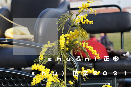 轉(zhuǎn)正申請(qǐng)書(shū)范文(2021入黨轉(zhuǎn)正申請(qǐng)書(shū)范文)