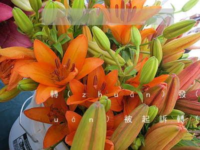 轉(zhuǎn)發(fā)微信侵權(quán)被起訴 轉(zhuǎn)發(fā)導(dǎo)致微信賬號被盜