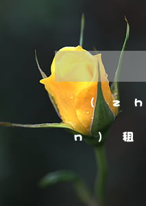轉(zhuǎn)租合同范本(轉(zhuǎn)租合同范本簡單版)
