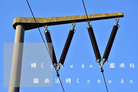 轉(zhuǎn)繼承有時(shí)效嗎(繼承法轉(zhuǎn)繼承人必須是)