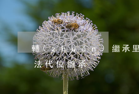 轉(zhuǎn)繼承里有代位繼承嗎(繼承法代位繼承)