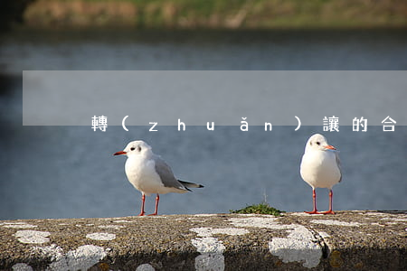 轉(zhuǎn)讓的合同糾紛怎么處理