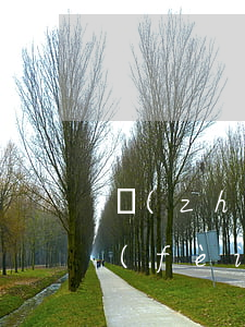 轉(zhuǎn)讓費(fèi)是什么費(fèi)用（轉(zhuǎn)讓費(fèi)收條怎么寫）