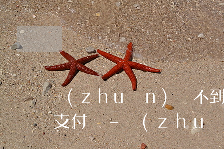 轉(zhuǎn)賬不到退也不到怎么起訴支付寶-轉(zhuǎn)賬不到退也不到怎么起訴支付寶賬戶