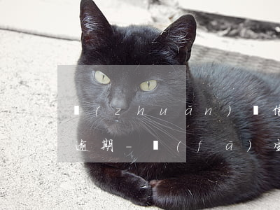 轉(zhuǎn)賬信用卡導(dǎo)致逾期-發(fā)生過信用卡逾期