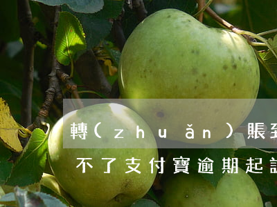 轉(zhuǎn)賬到了支付寶但是逾期還不了(支付寶逾期起訴之后是不是把錢還了就行了)