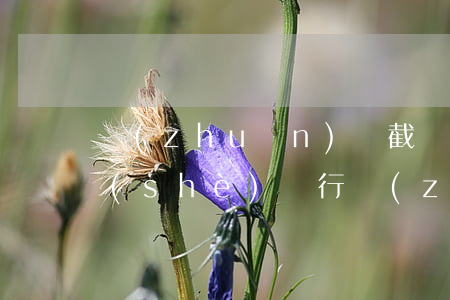 轉(zhuǎn)賬截圖生成器手機版(建設(shè)銀行轉(zhuǎn)賬截圖生成器手機版)