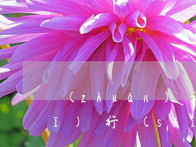 轉(zhuǎn)賬被騙怎么追回(手機(jī)銀行實(shí)時(shí)轉(zhuǎn)賬被騙怎么追回)