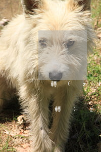 轉(zhuǎn)賬記錄可以去法院起訴嗎(轉(zhuǎn)賬記錄可以去法院起訴嗎)