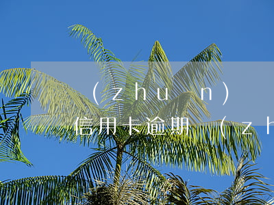 轉(zhuǎn)賬記錄幾百萬(wàn)信用卡逾期(轉(zhuǎn)賬到過(guò)期信用卡)