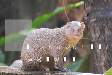 轉(zhuǎn)賬轉(zhuǎn)錯了，如何討回錢財