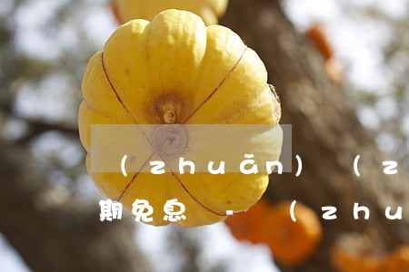轉(zhuǎn)轉(zhuǎn)12分期免息嗎-轉(zhuǎn)轉(zhuǎn)分12期利息多少