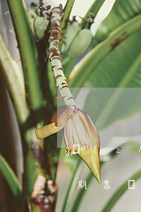 轉(zhuǎn)轉(zhuǎn)免息分期靠譜嗎-轉(zhuǎn)轉(zhuǎn)免息分期付款