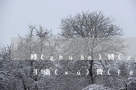轉(zhuǎn)轉(zhuǎn)分期有手續(xù)費(fèi)嗎（轉(zhuǎn)轉(zhuǎn)分期免息什么意思）