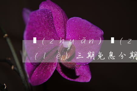 轉(zhuǎn)轉(zhuǎn)分期樂(lè)三期免息（分期樂(lè)轉(zhuǎn)轉(zhuǎn)免息）