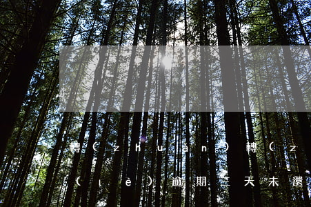 轉(zhuǎn)轉(zhuǎn)分期樂(lè)逾期三天未還會(huì)怎么樣-轉(zhuǎn)轉(zhuǎn)分期樂(lè)借錢多久到賬