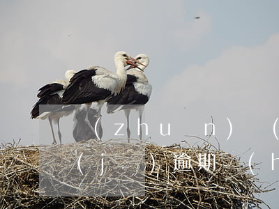 轉(zhuǎn)轉(zhuǎn)租手機(jī)逾期會(huì)怎么樣(轉(zhuǎn)轉(zhuǎn)租手機(jī)審核不通過(guò))