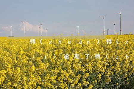 轉(zhuǎn)轉(zhuǎn)租機(jī)逾期了(轉(zhuǎn)轉(zhuǎn)上租手機(jī)到期了怎么辦)