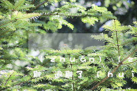 轉(zhuǎn)轉(zhuǎn)里的分期樂逾期了會(huì)上征信嗎-轉(zhuǎn)轉(zhuǎn)分期樂放款中