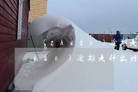 轉(zhuǎn)逾期是沒有還嗎(轉(zhuǎn)逾期是什么情況)