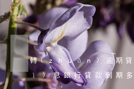 轉(zhuǎn)逾期貸款銀行是否計(jì)息(銀行貸款到期多久算逾期)