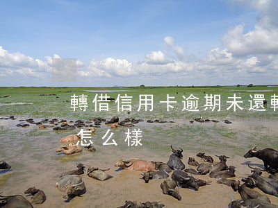 轉借信用卡逾期未還(轉借信用卡逾期未還會怎么樣)