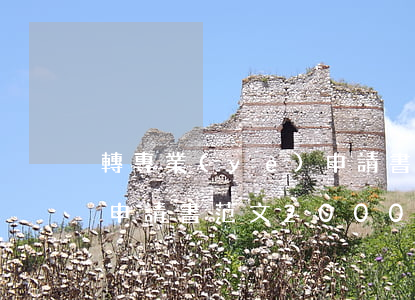 轉專業(yè)申請書范文(轉專業(yè)申請書范文2000字)