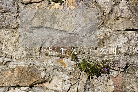 轉繼承怎么寫(什么叫轉繼承人)