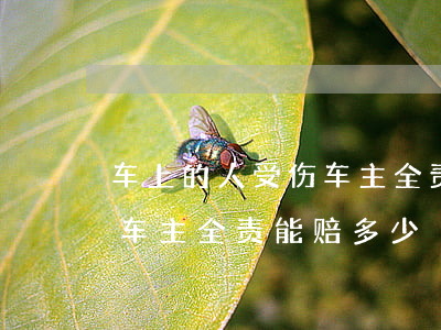 车上的人受伤车主全责怎么赔偿(人被车撞了车主全责能赔多少)