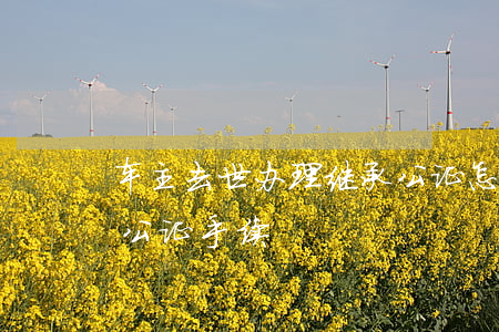 车主去世办理继承公证怎么办(汽车遗产继承公证手续)