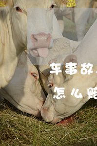 车事故人原告是低保怎么赔偿(低保户出车祸怎么赔偿呢)