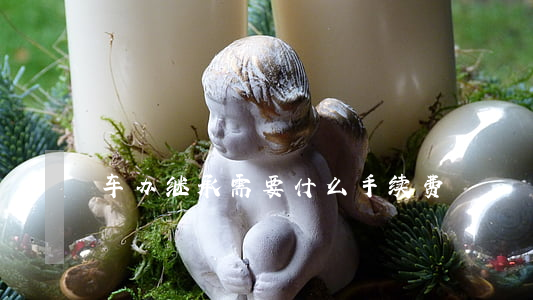 车办继承需要什么手续费