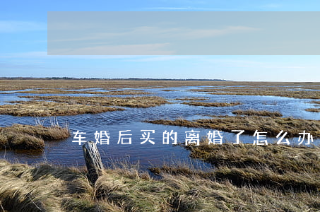 车婚后买的离婚了怎么办
